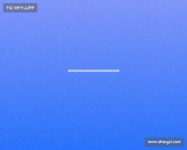 赛事保障证明的核心内涵与实施策略在大型活动安全保障中的全面应用分析